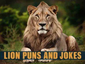 Lion Puns and Jokes